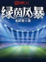 绿茵风暴 小说