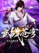 武战苍穹 小说