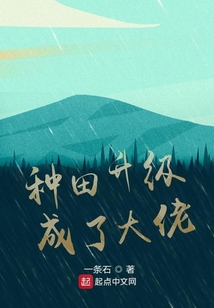 种田升级成了大佬 小说