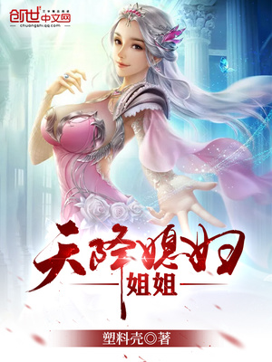 天降仙子姐姐免费阅读全文塑料壳