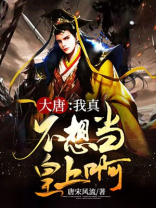 大唐我真的不想当皇上 小说