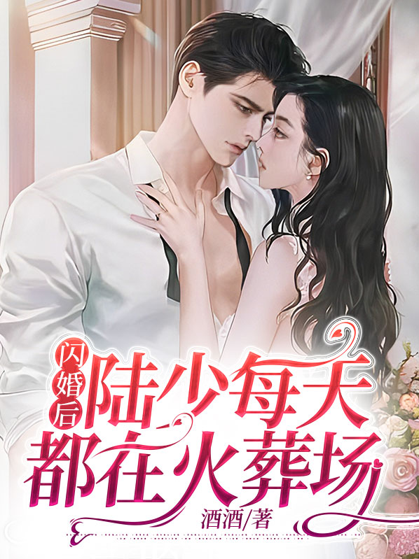 闪婚蜜爱,陆少夫人好意外免费