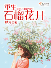 重生石榴花开TXT