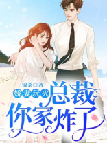 娇妻玩火:总裁你家炸了