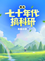 我在七十年代搞科研 小说