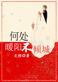 何处暖阳不倾城TXT下载