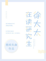 徐太太在读研究生 图样先森百度网盘