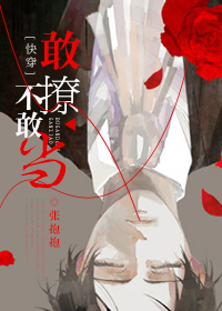 敢撩不敢当[快穿]百度网盘