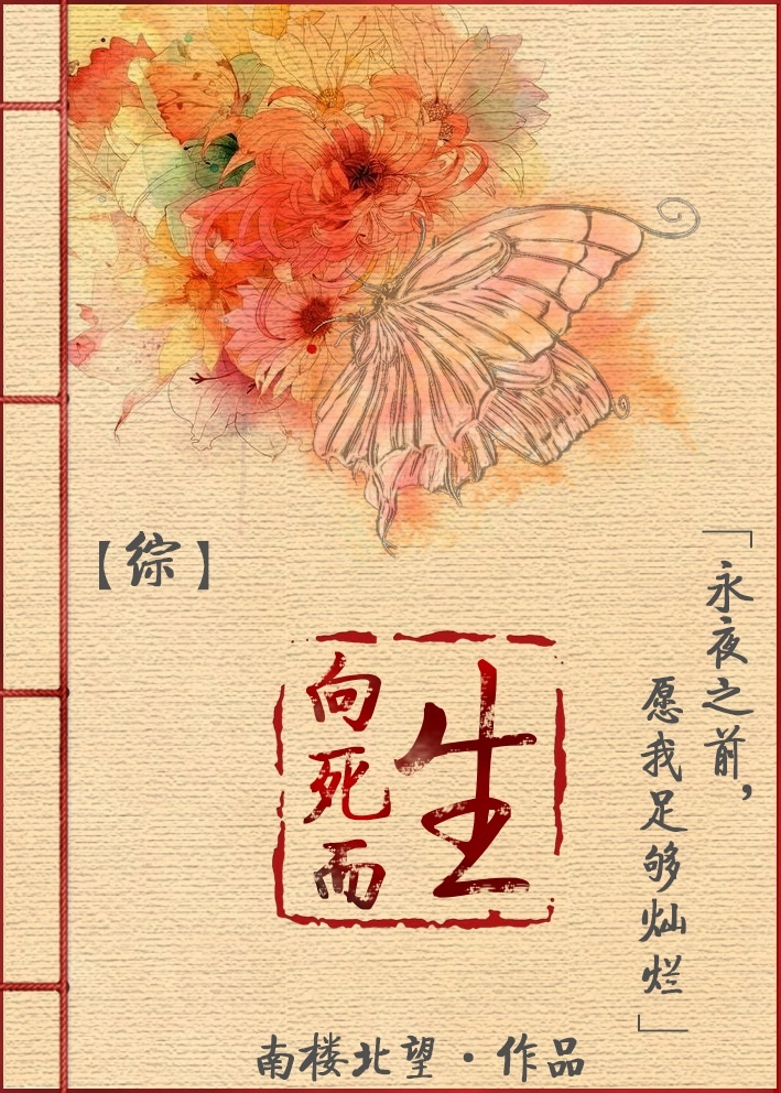 综向死而生免费阅读