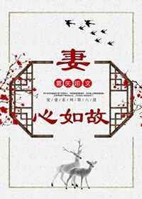 妻心如故小说百度云
