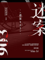 迷案903