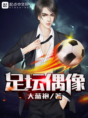 足坛偶像小说