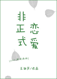非正式恋爱小说讲的什么