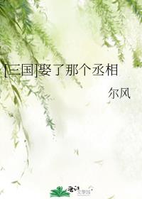 [三国]娶了那个丞相 尔风
