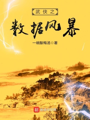 武侠之数据风暴 一碗酸梅汤