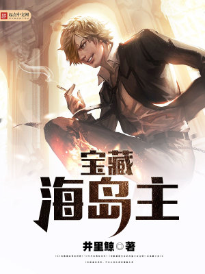 宝藏海岛主TXT