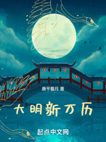大明新万历小说在线阅读