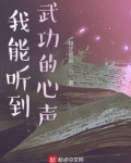 我能听到武功的心声