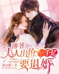 薄爷，夫人出价一千亿要退婚