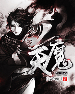 魔天记等级划分