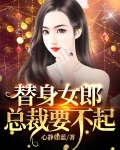 替身女郎,总裁要不起