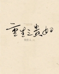 重生之贵妇