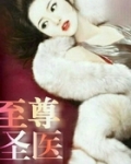 至尊圣医
